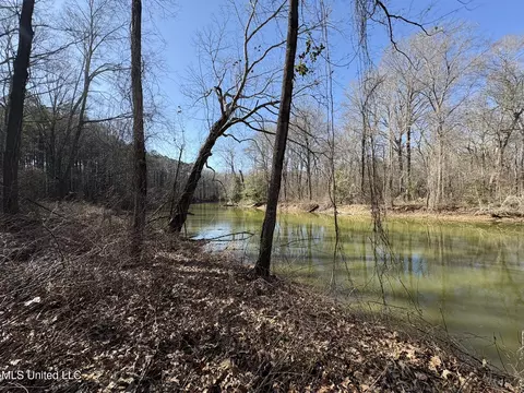 Malmaison Rd, Holcomb, MS 38940 photo 24