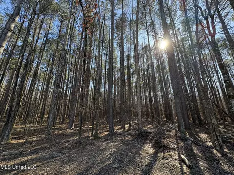 Malmaison Rd, Holcomb, MS 38940 photo 7