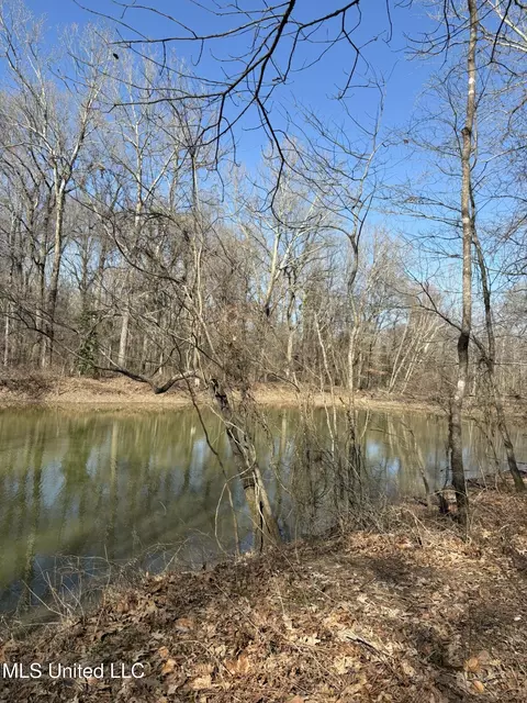 Malmaison Rd, Holcomb, MS 38940 photo 23