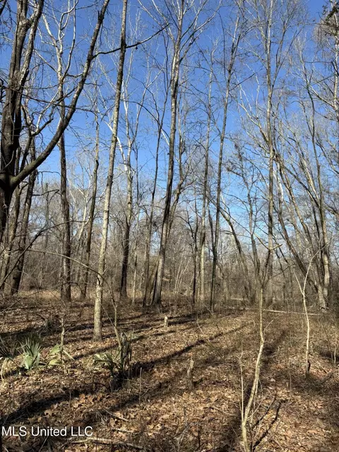 Malmaison Rd, Holcomb, MS 38940 photo 20