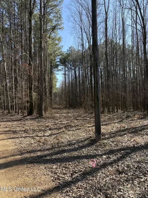 Malmaison Rd, Holcomb, MS 38940 photo 3