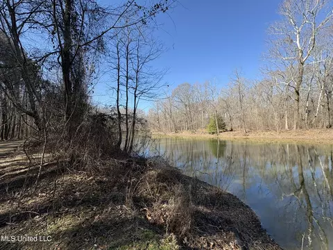 Malmaison Rd, Holcomb, MS 38940 photo 6