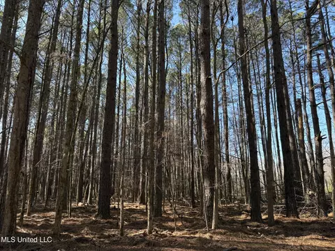 Malmaison Rd, Holcomb, MS 38940 photo 9