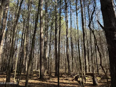 Malmaison Rd, Holcomb, MS 38940 photo 10