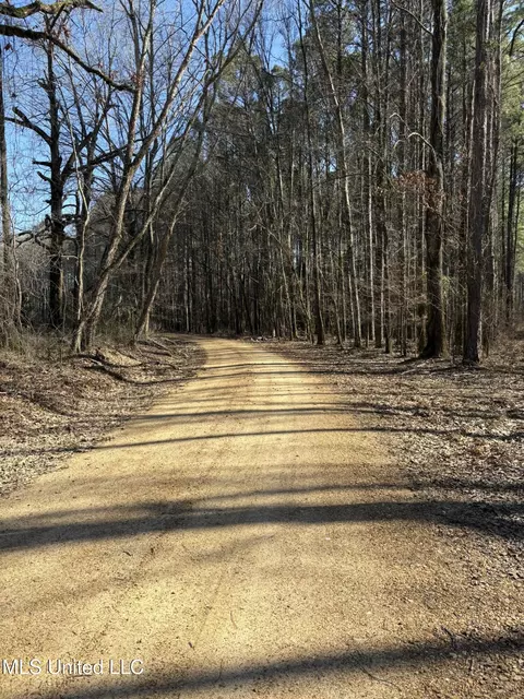 Malmaison Rd, Holcomb, MS 38940 photo 4
