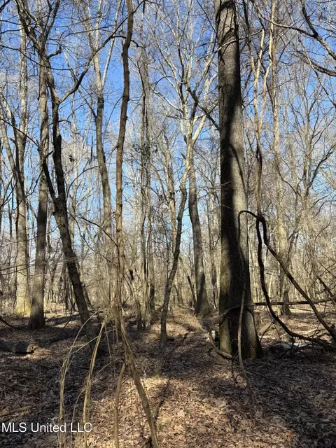 Malmaison Rd, Holcomb, MS 38940 photo 18
