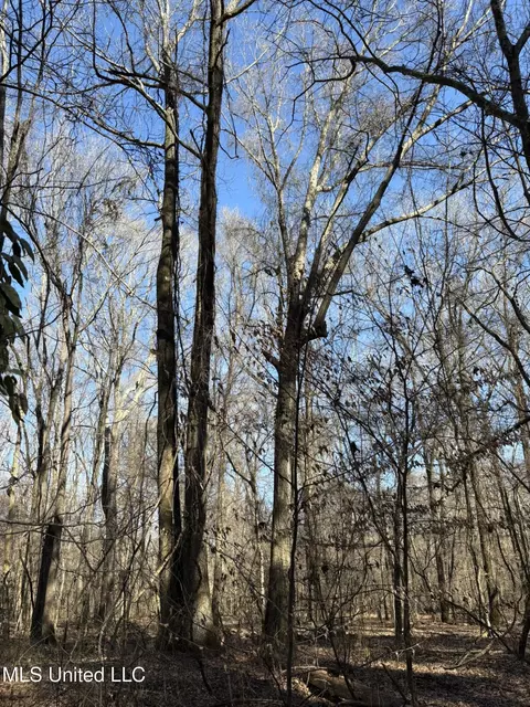 Malmaison Rd, Holcomb, MS 38940 photo 14