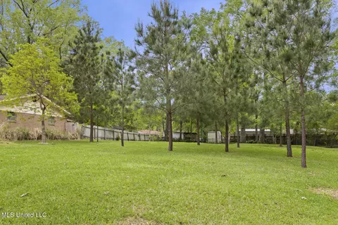 Exterior - 3453 Dawn Dr, Pearl, MS 39208 photo 10 of 10