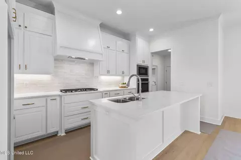 Kitchen - 424 Baleigh Way, Canton, MS 39046 photo 2 of 2