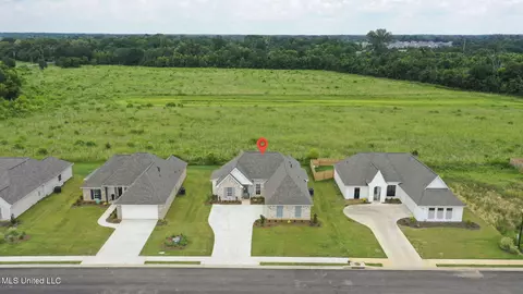 View/Area - 424 Baleigh Way, Canton, MS 39046 photo 1 of 8