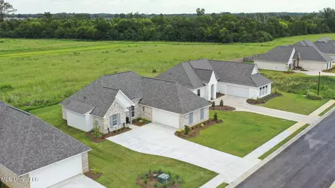 View/Area - 424 Baleigh Way, Canton, MS 39046 photo 4 of 8