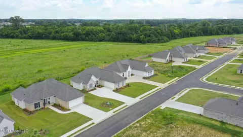 View/Area - 424 Baleigh Way, Canton, MS 39046 photo 2 of 8