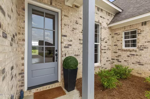 Entry Way - 424 Baleigh Way, Canton, MS 39046 photo 1 of 6