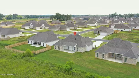 View/Area - 424 Baleigh Way, Canton, MS 39046 photo 6 of 8
