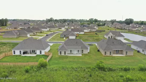 View/Area - 424 Baleigh Way, Canton, MS 39046 photo 7 of 8