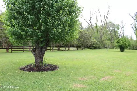 Exterior - 24221 Highway 613, Lucedale, MS 39452 photo 3 of 10