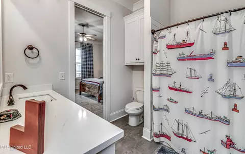 Bath - 258 Arbor Trl, Brandon, MS 39047 photo 5 of 6