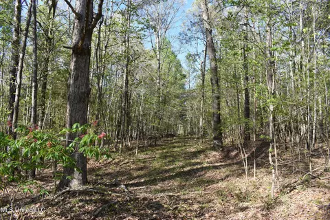 0 Leonard Ln, Holly Springs, MS 38635