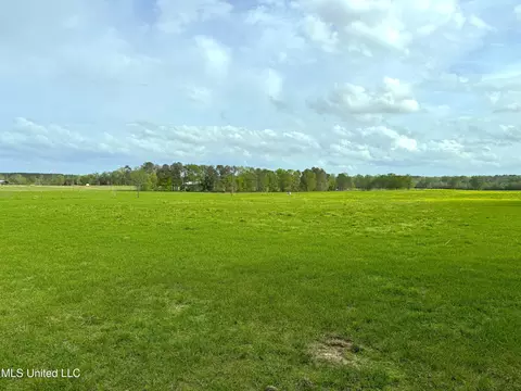2509 Bogue Chitto Rd, Smithdale, MS 39664