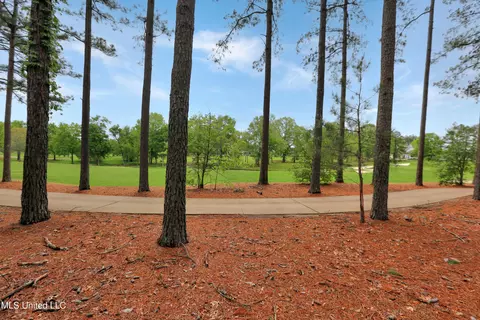 106 Carlyle Dr, Madison, MS 39110 photo 9