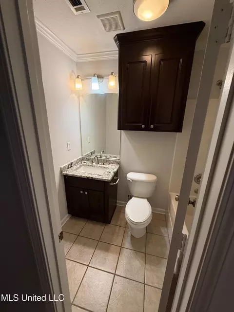 Bath - 218 Terry Brook Dr, Terry, MS 39170 photo 5 of 5