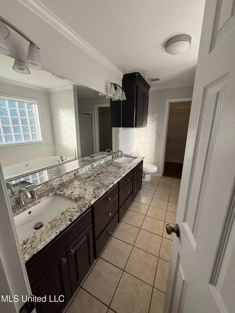 Bath - 218 Terry Brook Dr, Terry, MS 39170 photo 3 of 5
