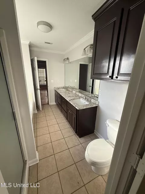 Bath - 218 Terry Brook Dr, Terry, MS 39170 photo 1 of 5