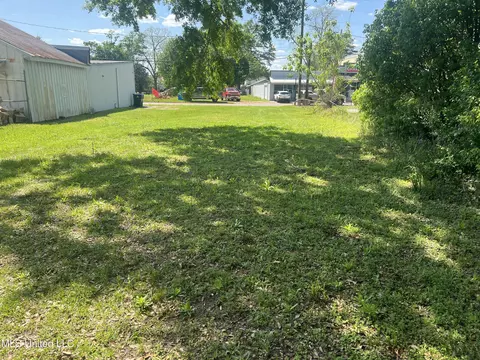 Mill Street, Lucedale, MS 39452 photo 3