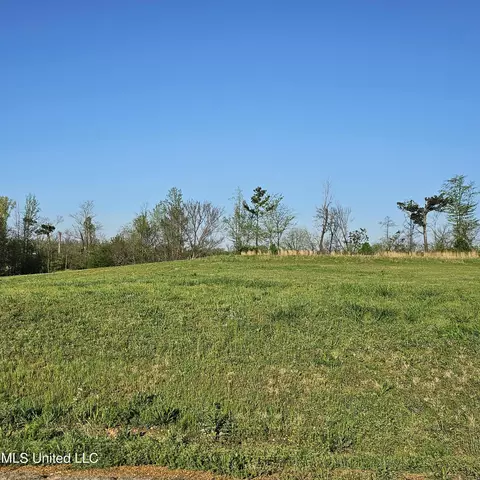 2841 Turkey Creek Dr, Olive Branch, MS 38654