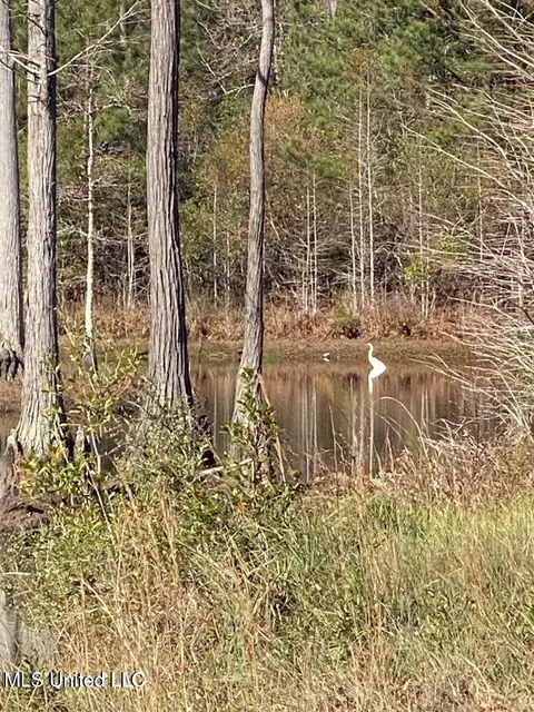 Old Hwy 49, Gulfport, MS 39503