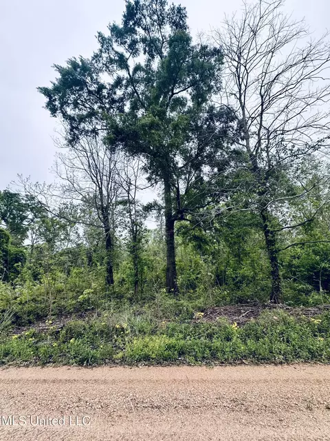 Pecan Grove Road, Woodville, MS 39669