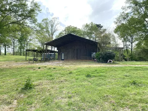 Exterior - 96 R C Rd, Conehatta, MS 39057 photo 6 of 6