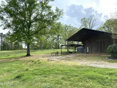 Exterior - 96 R C Rd, Conehatta, MS 39057 photo 5 of 6