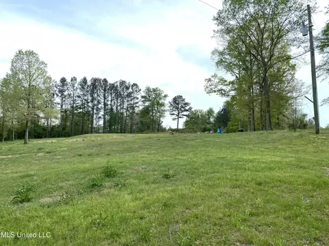 Exterior - 96 R C Rd, Conehatta, MS 39057 photo 3 of 6