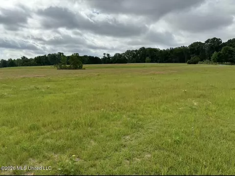 Bozeman Road, Madison, MS 39110 photo 10