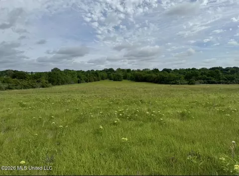 Bozeman Road, Madison, MS 39110 photo 4