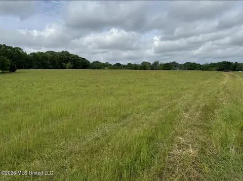 Bozeman Road, Madison, MS 39110 photo 7