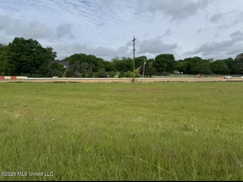 Bozeman Road, Madison, MS 39110 photo 13