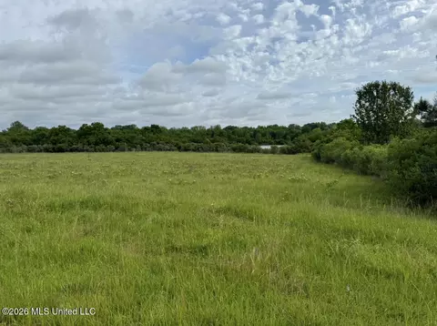Bozeman Road, Madison, MS 39110 photo 5