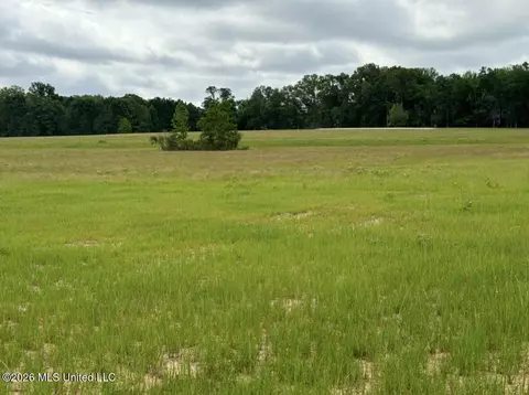 Bozeman Road, Madison, MS 39110 photo 11