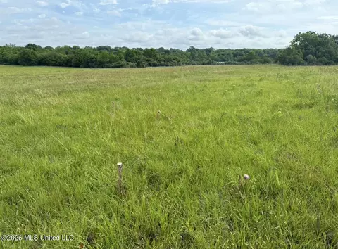 Bozeman Road, Madison, MS 39110 photo 6