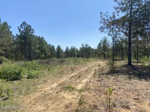 6479 Ms-4, Holly Springs, MS 38635