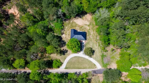 133 Dewitt Flynt Rd, Mendenhall, MS 39114 photo 3