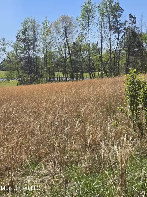 3561 Johnston Rd, Hernando, MS 38632 photo 6