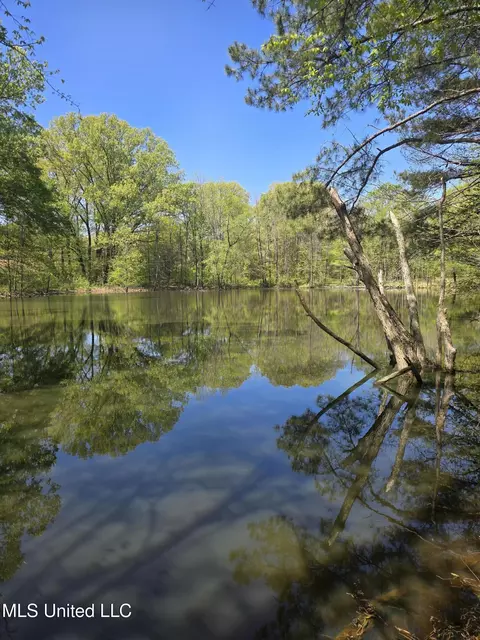3561 Johnston Rd, Hernando, MS 38632 photo 5