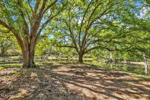 6236 Juniper Dr, Vancleave, MS 39565 photo 3