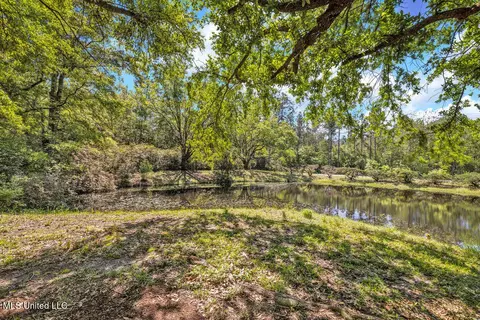 6236 Juniper Dr, Vancleave, MS 39565 photo 2