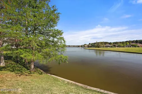 View/Area - 101 Vinings Dr, Madison, MS 39110 photo 2 of 34