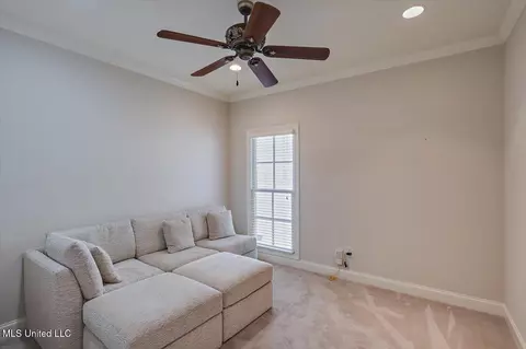 Other - 101 Vinings Dr, Madison, MS 39110 photo 8 of 12
