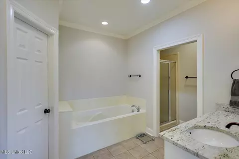 Bath - 101 Vinings Dr, Madison, MS 39110 photo 1 of 4